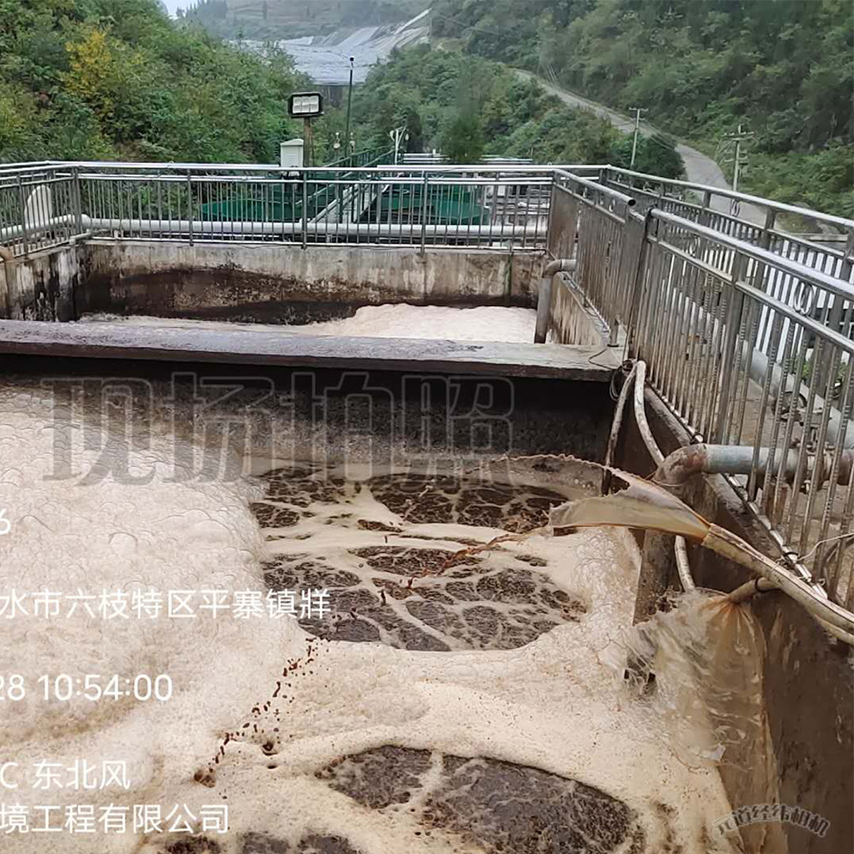 小蝌蚪影视下载渗滤液处理中泡沫产生的危害